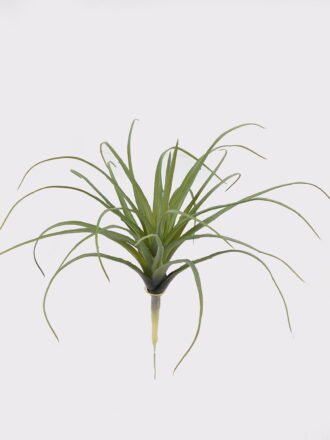 Artificial succulent 28*28*28cm AIR GRASS WITH  single stem GS-34125004 2025AUG 3,000+ sqm showroom with thousands of artificial flowers, plants & trees ready for global sourcing.