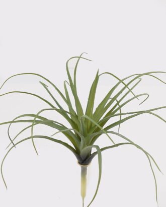 Artificial succulent 24*24*24cm AIR GRASS WITH single stem GS-34125003 2025AUG YeahFlower is one of Chinese leading OEM manufacturers and exporters , supplying the silk flowers, wholesale artificial trees Artificial succulent 24*24*24cm AIR GRASS WITH single stem GS-34125003 2025AUG YeahFlower is one of Chinese leading OEM manufacturers and exporters , supplying the silk flowers, wholesale artificial trees