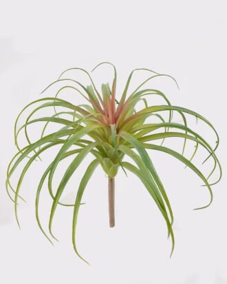 Artificial succulent 28*28*28cm AIR GRASS WITH single stem GS-34125004 2025AUG YeahFlower is one of Chinese leading OEM manufacturers and exporters , supplying the silk flowers, wholesale artificial trees Artificial succulent 28*28*28cm AIR GRASS WITH single stem GS-34125004 2025AUG YeahFlower is one of Chinese leading OEM manufacturers and exporters , supplying the silk flowers, wholesale artificial trees