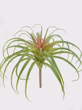 Artificial succulent 24*24*24cm AIR GRASS WITH  single stem GS-34125003 2025AUG 3,000+ sqm showroom with thousands of artificial flowers, plants & trees ready for global sourcing.
