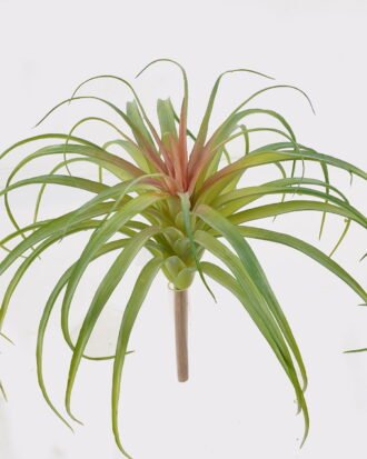 Artificial succulent 28*28*28cm AIR GRASS WITH single stem GS-34125004 2025AUG YeahFlower is one of Chinese leading OEM manufacturers and exporters , supplying the silk flowers, wholesale artificial trees Artificial succulent 28*28*28cm AIR GRASS WITH single stem GS-34125004 2025AUG YeahFlower is one of Chinese leading OEM manufacturers and exporters , supplying the silk flowers, wholesale artificial trees