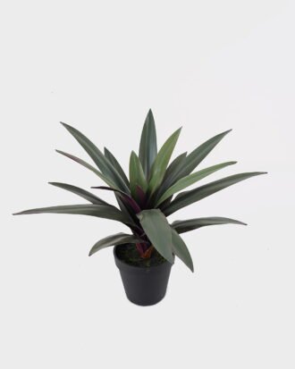 Artificial succulent 28*28*35cm Desert plants in PP pot/19 lvs GS-41925036 2025AUG YeahFlower is one of Chinese leading OEM manufacturers and exporters , supplying the silk flowers, wholesale artificial trees Artificial succulent 28*28*35cm Desert plants in PP pot/19 lvs GS-41925036 2025AUG YeahFlower is one of Chinese leading OEM manufacturers and exporters , supplying the silk flowers, wholesale artificial trees