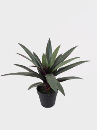 Artificial succulent 30*30*38cm Lechuguilla in PP pot/21 lvs GS-41925035 2025AUG 3,000+ sqm showroom with thousands of artificial flowers, plants & trees ready for global sourcing.