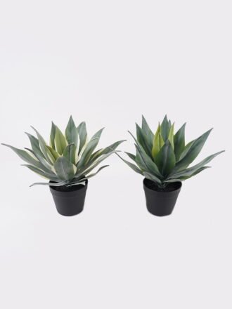 Artificial succulent 28*28*35cm Desert plants in PP pot/19 lvs GS-41925036 2025AUG 3,000+ sqm showroom with thousands of artificial flowers, plants & trees ready for global sourcing.