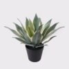 Artificial succulent 30*30*38cm Lechuguilla in PP pot/21 lvs GS-41925035 2025AUG YeahFlower is one of Chinese leading OEM manufacturers and exporters , supplying the silk flowers, wholesale artificial trees
