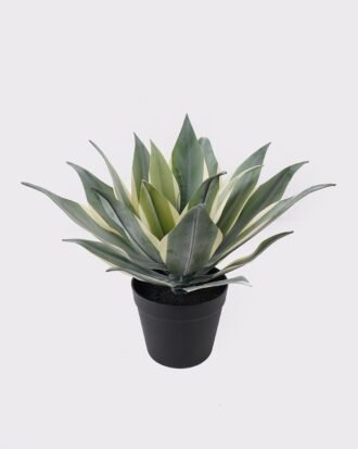 Artificial succulent 30*30*38cm Lechuguilla in PP pot/21 lvs GS-41925035 2025AUG YeahFlower is one of Chinese leading OEM manufacturers and exporters , supplying the silk flowers, wholesale artificial trees Artificial succulent 30*30*38cm Lechuguilla in PP pot/21 lvs GS-41925035 2025AUG YeahFlower is one of Chinese leading OEM manufacturers and exporters , supplying the silk flowers, wholesale artificial trees