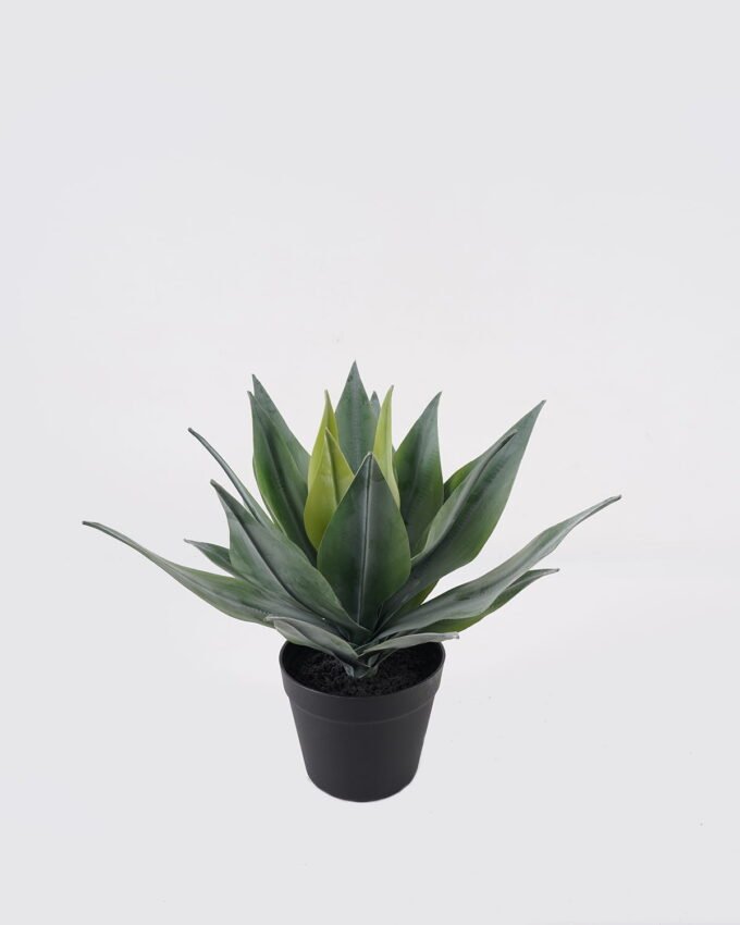 Artificial succulent 30*30*38cm Lechuguilla in PP pot/21 lvs GS-41925035 2025AUG YeahFlower is one of Chinese leading OEM manufacturers and exporters , supplying the silk flowers, wholesale artificial trees