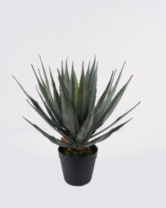 Artificial succulent 27*27*45cm Lechuguilla in PP pot/31 lvs GS-41925037 2025AUG YeahFlower is one of Chinese leading OEM manufacturers and exporters , supplying the silk flowers, wholesale artificial trees Artificial succulent 27*27*45cm Lechuguilla in PP pot/31 lvs GS-41925037 2025AUG YeahFlower is one of Chinese leading OEM manufacturers and exporters , supplying the silk flowers, wholesale artificial trees