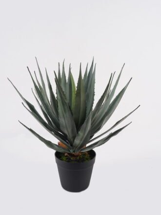 Artificial succulent 28*28*35cm Desert plants in PP pot/19 lvs GS-41925036 2025AUG 3,000+ sqm showroom with thousands of artificial flowers, plants & trees ready for global sourcing.