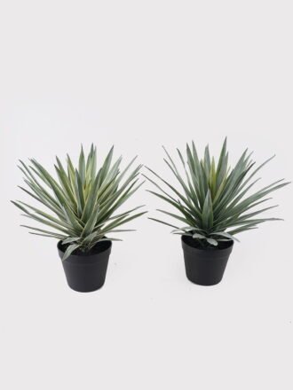 Artificial succulent 30*30*38cm Lechuguilla in PP pot/21 lvs GS-41925035 2025AUG 3,000+ sqm showroom with thousands of artificial flowers, plants & trees ready for global sourcing.