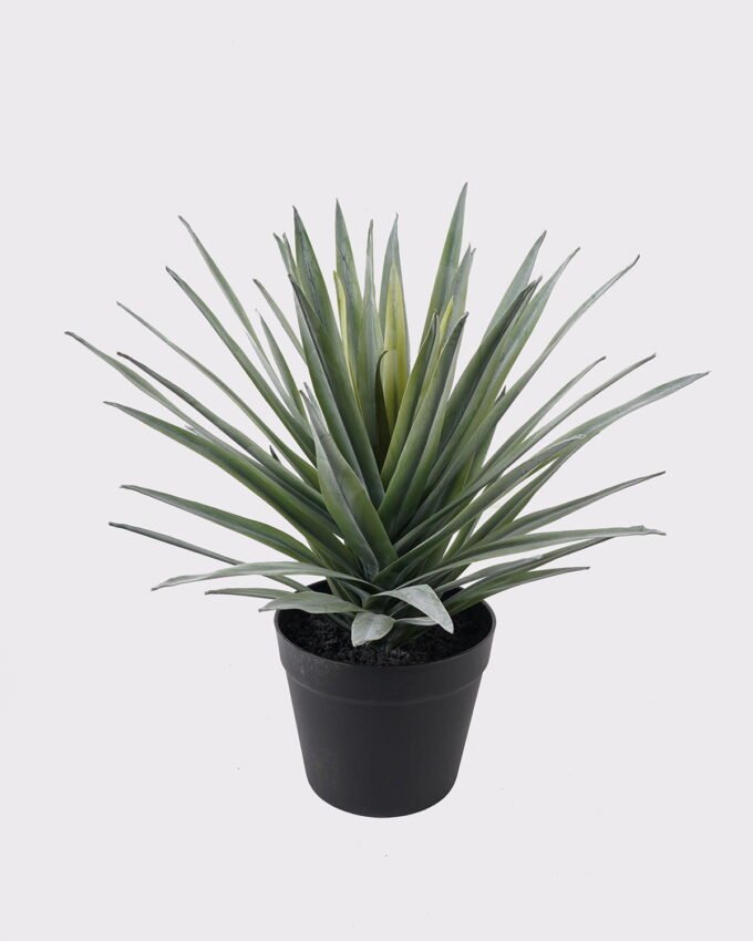 Artificial succulent 28*28*38cm Sisal in PP pot/57 lvs GS-41925033 2025AUG YeahFlower is one of Chinese leading OEM manufacturers and exporters , supplying the silk flowers, wholesale artificial trees