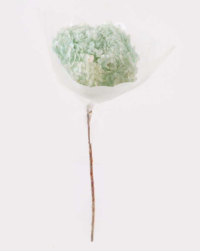 Dried Flowers 60cm Dried natura plant bundle GS-56624149P48-B1 2025AUG YeahFlower is one of Chinese leading OEM manufacturers and exporters , supplying the silk flowers, wholesale artificial trees