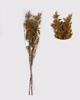 Dried Flowers 75cm  Preserved glass (50g/bouquet,H:75cm) GS-56621133-Y1 2025AUG YeahFlower is one of Chinese leading OEM manufacturers and exporters , supplying the silk flowers, wholesale artificial trees