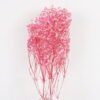 Dried Flowers 18*66cm Dried Gypsophila Bouquet GS-56620033P48-P1 2025AUG YeahFlower is one of Chinese leading OEM manufacturers and exporters , supplying the silk flowers, wholesale artificial trees