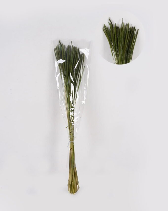 Dried Flowers 10*10*78CM Dried natural items  with PP wrapped(80g, H:50CM) GS-56621106-G2 2025AUG YeahFlower is one of Chinese leading OEM manufacturers and exporters , supplying the silk flowers, wholesale artificial trees