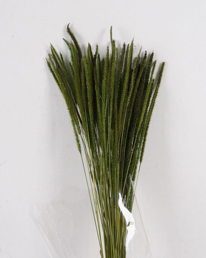 Dried Flowers 10*10*78CM Dried natural items  with PP wrapped(80g, H:50CM) GS-56621106-G2 2025AUG YeahFlower is one of Chinese leading OEM manufacturers and exporters , supplying the silk flowers, wholesale artificial trees