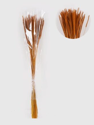 Dried Flowers 10*10*78CM Dried natural items  with PP wrapped(80g, H:50CM) GS-56621106-G2 2025AUG 3,000+ sqm showroom with thousands of artificial flowers, plants & trees ready for global sourcing.