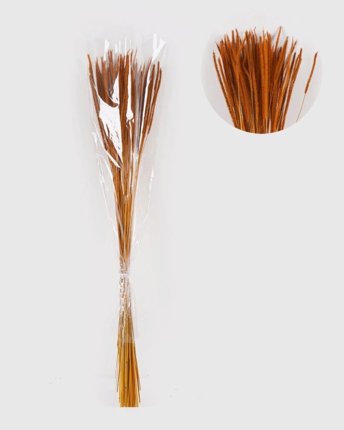 Dried Flowers 10*10*78CM Dried natural items  with PP wrapped(80g, H:50CM) GS-56621106-O1 2025AUG YeahFlower is one of Chinese leading OEM manufacturers and exporters , supplying the silk flowers, wholesale artificial trees