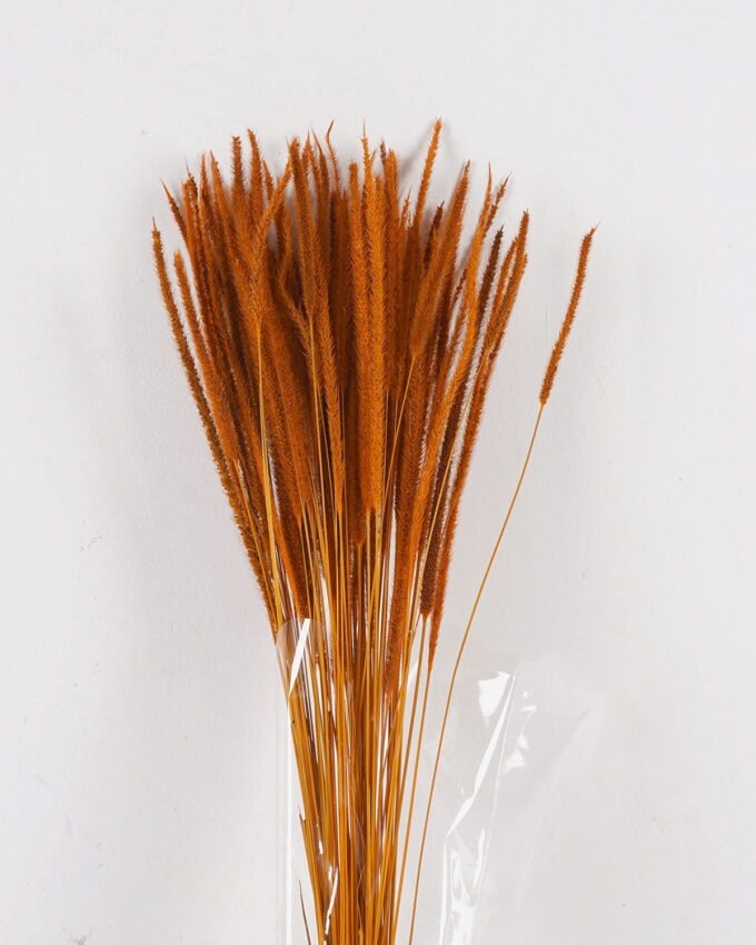 Dried Flowers 10*10*78CM Dried natural items  with PP wrapped(80g, H:50CM) GS-56621106-O1 2025AUG YeahFlower is one of Chinese leading OEM manufacturers and exporters , supplying the silk flowers, wholesale artificial trees