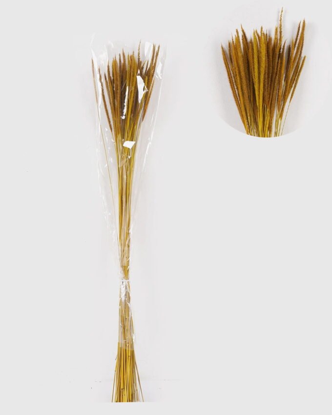 Dried Flowers 10*10*78CM Dried natural items  with PP wrapped(80g, H:50CM) GS-56621106-Y1 2025AUG YeahFlower is one of Chinese leading OEM manufacturers and exporters , supplying the silk flowers, wholesale artificial trees