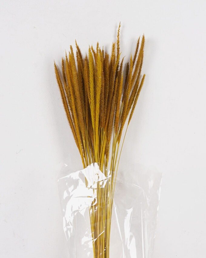 Dried Flowers 10*10*78CM Dried natural items  with PP wrapped(80g, H:50CM) GS-56621106-Y1 2025AUG YeahFlower is one of Chinese leading OEM manufacturers and exporters , supplying the silk flowers, wholesale artificial trees