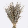Dried Flowers 25*25*40cm Eucalyptus bundle GS-56625042 2025AUG YeahFlower is one of Chinese leading OEM manufacturers and exporters , supplying the silk flowers, wholesale artificial trees