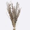 Dried Flowers 23*23*50cm Eucalyptus bundle GS-56625043 2025AUG YeahFlower is one of Chinese leading OEM manufacturers and exporters , supplying the silk flowers, wholesale artificial trees