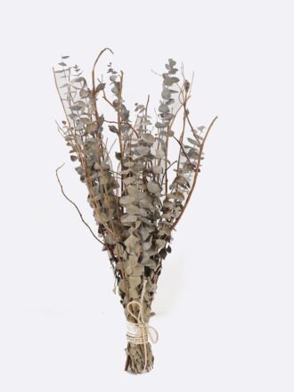 Dried Flowers 23*23*50cm Eucalyptus bundle GS-56625044 2025AUG 3,000+ sqm showroom with thousands of artificial flowers, plants & trees ready for global sourcing.
