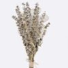 Dried Flowers 25*25*50cm Eucalyptus bundle GS-56625045 2025AUG YeahFlower is one of Chinese leading OEM manufacturers and exporters , supplying the silk flowers, wholesale artificial trees