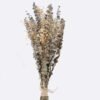Dried Flowers 25*25*50cm Eucalyptus bundle GS-56625046 2025AUG YeahFlower is one of Chinese leading OEM manufacturers and exporters , supplying the silk flowers, wholesale artificial trees