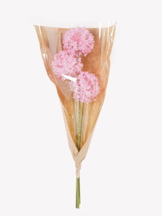 Dried Flowers 17*17*66cm Fistular Onion flower bouquet GS-30325001 2025JUL 3,000+ sqm showroom with thousands of artificial flowers, plants & trees ready for global sourcing.