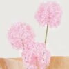 Dried Flowers 17*17*66cm Fistular Onion flower bouquet GS-30325001-P1 2025JUL YeahFlower is one of Chinese leading OEM manufacturers and exporters , supplying the silk flowers, wholesale artificial trees