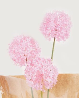 Dried Flowers 17*17*66cm Fistular Onion flower bouquet GS-30325001-P1 2025JUL YeahFlower is one of Chinese leading OEM manufacturers and exporters , supplying the silk flowers, wholesale artificial trees