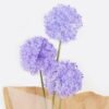 Dried Flowers 17*17*66cm Fistular Onion flower bouquet GS-30325001 2025JUL YeahFlower is one of Chinese leading OEM manufacturers and exporters , supplying the silk flowers, wholesale artificial trees