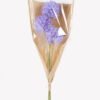 Dried Flowers 17*17*66cm Fistular Onion flower bouquet GS-30325001 2025JUL YeahFlower is one of Chinese leading OEM manufacturers and exporters , supplying the silk flowers, wholesale artificial trees