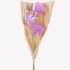 Dried Flowers 17*17*66cm Fistular Onion flower bouquet GS-30325001 2025JUL YeahFlower is one of Chinese leading OEM manufacturers and exporters , supplying the silk flowers, wholesale artificial trees