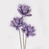 Dried Flowers 23*23*44cm Flower *3 single stem GS-56625005 2025AUG YeahFlower is one of Chinese leading OEM manufacturers and exporters , supplying the silk flowers, wholesale artificial trees