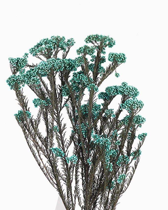 Dried Flowers 13*64CM Flower,50g/pc,H:60-70cm/pc GS-56620018P48-B1 2025AUG YeahFlower is one of Chinese leading OEM manufacturers and exporters , supplying the silk flowers, wholesale artificial trees