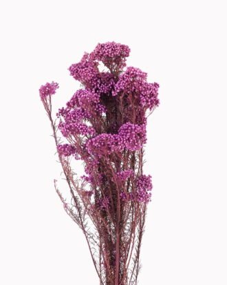 Dried Flowers 13*64CM Flower,50g/pc,H:60-70cm/pc GS-56620018P48-R1 2025AUG YeahFlower is one of Chinese leading OEM manufacturers and exporters , supplying the silk flowers, wholesale artificial trees