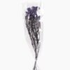 Dried Flowers 13*64CM Flower,50g/pc,H:60-70cm/pc GS-56620018P48-Z1 2025AUG YeahFlower is one of Chinese leading OEM manufacturers and exporters , supplying the silk flowers, wholesale artificial trees