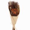 Dried Flowers 21*21*55cm Semi-paper translucent bouquet  bundle GS-56625031 2025AUG YeahFlower is one of Chinese leading OEM manufacturers and exporters , supplying the silk flowers, wholesale artificial trees