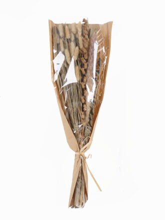 Dried Flowers 15*15*60cm Semi-paper translucent bouquet  bundle GS-56625034 2025AUG 3,000+ sqm showroom with thousands of artificial flowers, plants & trees ready for global sourcing.