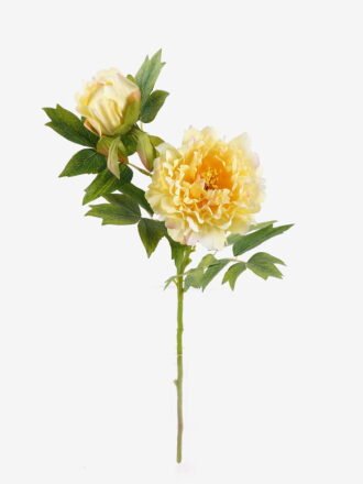 Artificial Plant 25*25*25cm Eucalyptus in PP pot GS-17725063 2025SEP 3,000+ sqm showroom with thousands of artificial flowers, plants & trees ready for global sourcing.