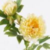 Artificial Flower 52cm  Peony*2(S) GS-2580090-Y1 2025SEP YeahFlower is one of Chinese leading OEM manufacturers and exporters , supplying the silk flowers, wholesale artificial trees