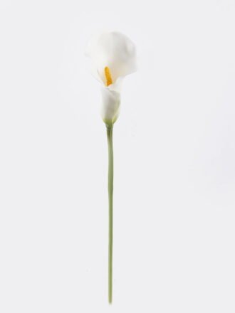 Artificial Flower 11*11*82cm Alocasia  single stem GS-50525053-P1 2025Oct 3,000+ sqm showroom with thousands of artificial flowers, plants & trees ready for global sourcing.