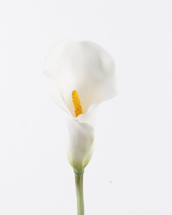 Artificial Flower 11*11*82cm Alocasia  single stem GS-50525053-W1 2025Oct YeahFlower is one of Chinese leading OEM manufacturers and exporters , supplying the silk flowers, wholesale artificial trees