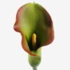 Artificial Flower 11*11*82cm Alocasia  single stem GS-50525053 2025Oct YeahFlower is one of Chinese leading OEM manufacturers and exporters , supplying the silk flowers, wholesale artificial trees