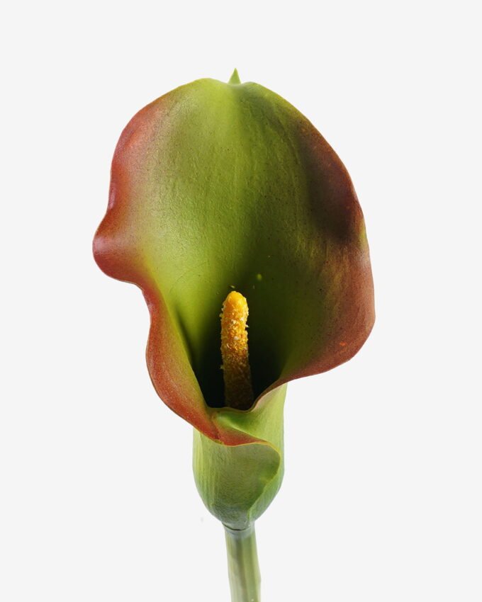 Artificial Flower 11*11*82cm Alocasia  single stem GS-50525053 2025Oct YeahFlower is one of Chinese leading OEM manufacturers and exporters , supplying the silk flowers, wholesale artificial trees