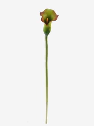 Artificial Flower 8*8*71cm Alocasia  single stem GS-50525054 2025Oct 3,000+ sqm showroom with thousands of artificial flowers, plants & trees ready for global sourcing.