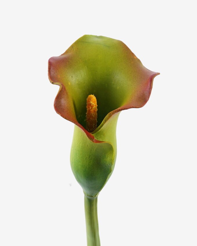 Artificial Flower 8*8*71cm Alocasia  single stem GS-50525054-G1 2025Oct YeahFlower is one of Chinese leading OEM manufacturers and exporters , supplying the silk flowers, wholesale artificial trees